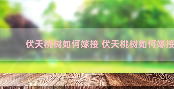 伏天桃树如何嫁接 伏天桃树如何嫁接图解